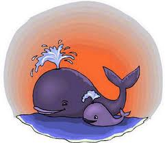 BALLENAS